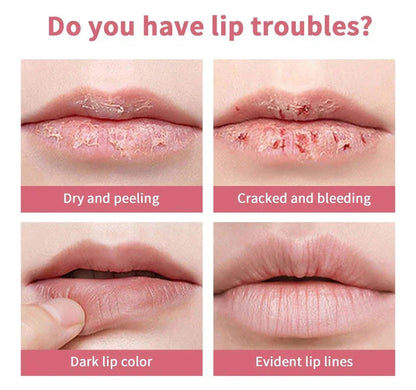 Rossetto idratante al miele nero a lunga durata Trucco labbra .